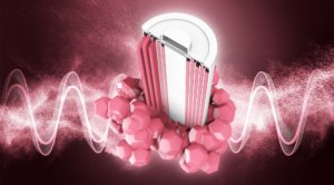 Entwicklung hochleistungsfähiger aktiver Batteriematerialien und Festkörperelektrolyte für Festkörperbatterien und Brennstoffzellen mittels Glatt-Pulversynthese